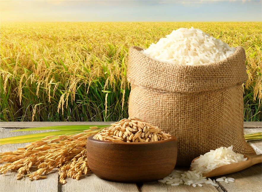 Biến Đổi Khí Hậu Ảnh Hưởng Nông Nghiệp: Hạn Mặn Đồng Bằng Sông Cửu Long Và Bàn Ăn Của Bạn