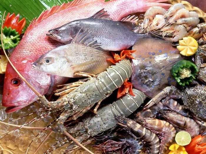 Giá Hải Sản Tươi Sống Hôm Nay 19/7/2026 – Tôm Hùm, Cua Biển, Cá Ngừ, Mực, Nghêu, Hàu