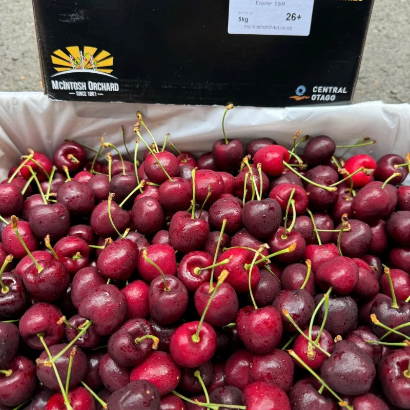 Cherry New Orchard – Siêu Trái Cây Nhập Khẩu & 6 Lợi Ích Sức Khỏe Không Ngờ