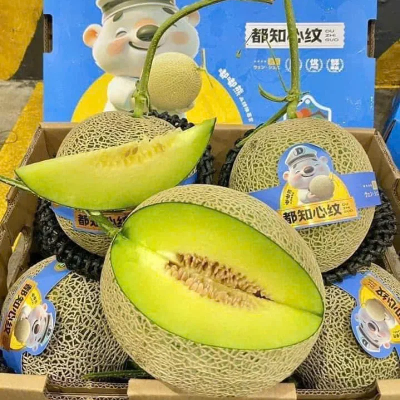 Dưa Lưới Nhật Melon – Vị Ngọt Thanh Thượng Hạng Từ Xứ Sở Mặt Trời Mọc