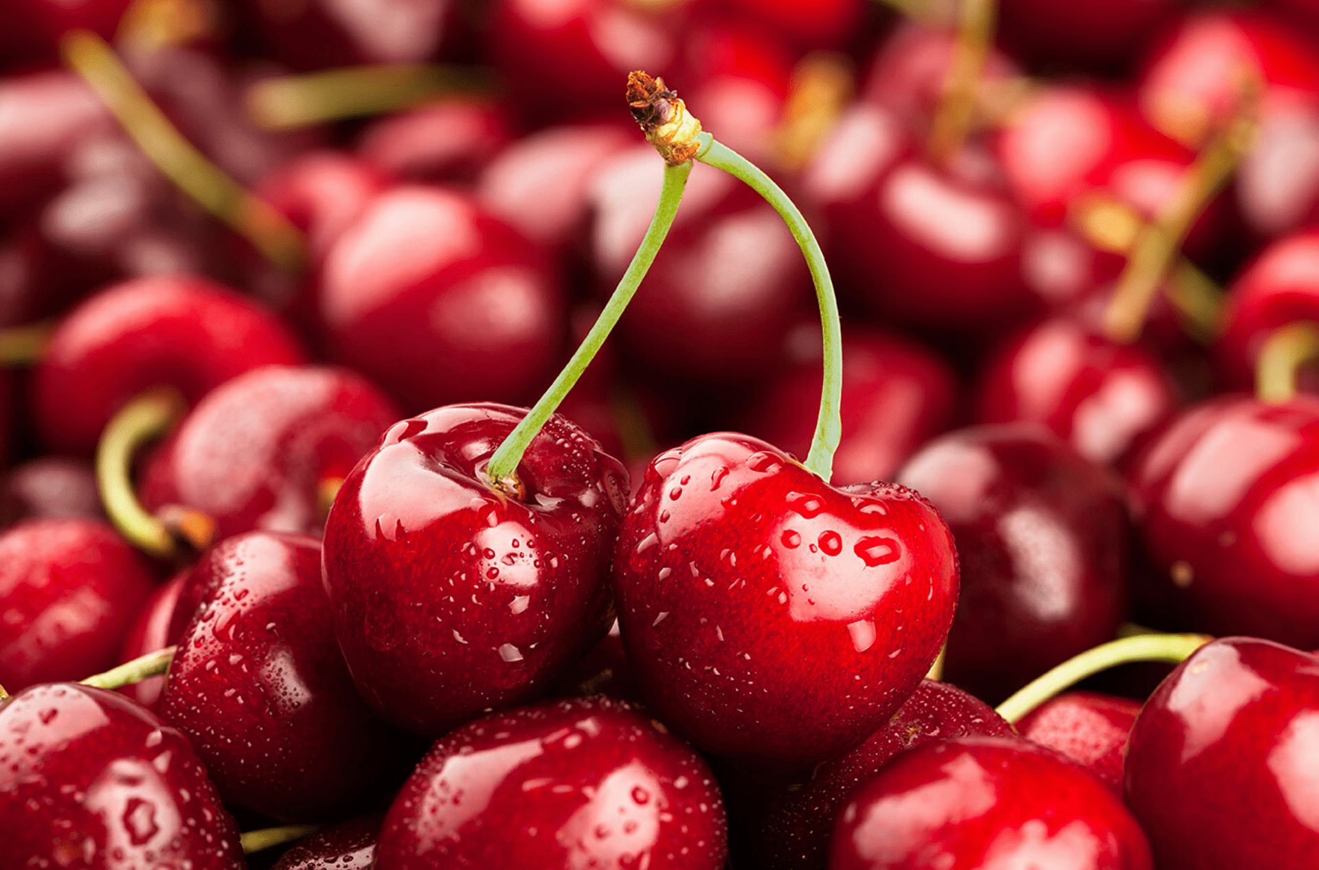 Cherry Mỹ (Bing) – Siêu Quả Bổ Dưỡng Với 7 Lợi Ích Sức Khỏe Không Ngờ