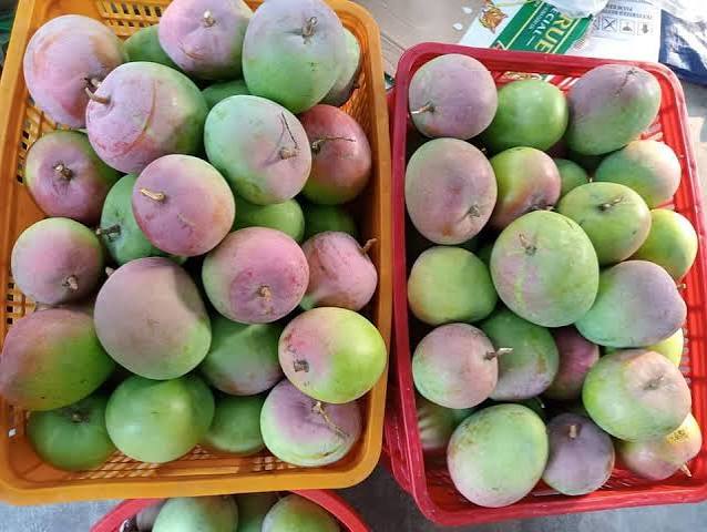 Giá Xoài Thái Lan Hôm Nay 17/7/2026 – Bảng Giá Mới Nhất Tại Chợ, Siêu Thị & Online
