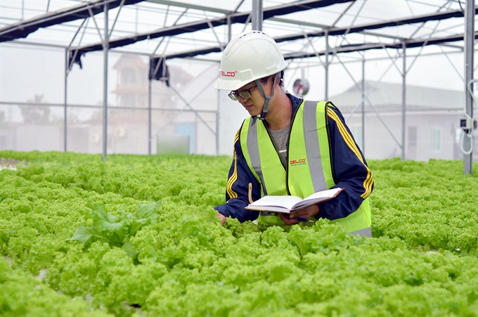 Khởi Nghiệp Nông Nghiệp: Cơ Hội Vàng Cho Startup Nông Sản Việt Nam 2024