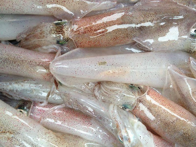 Mực Tươi Nhảy Sống Tại HCM — Giá, Cách Chọn & Mua Online Giao Tận Nhà