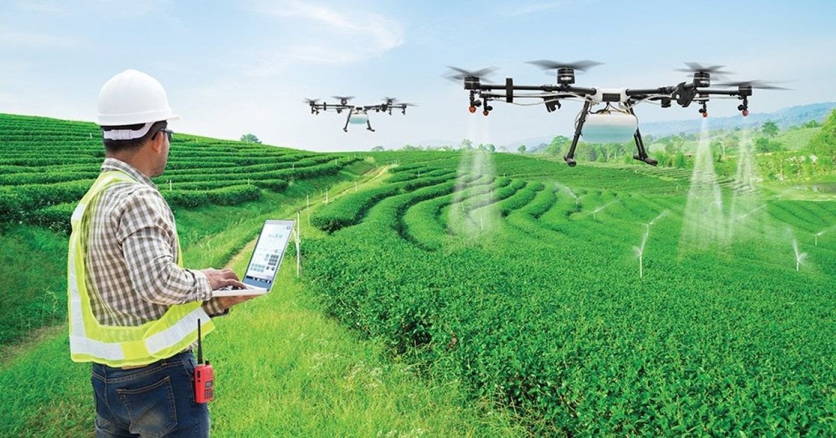 Startup Nông Nghiệp Việt Nam: Mô Hình Kinh Doanh Nông Sản Thời Đại Số