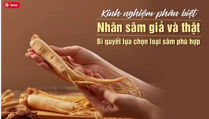 5 Cách Phân Biệt Sâm Hàn Quốc Thật Và Giả  Ai Cũng nên Biết
