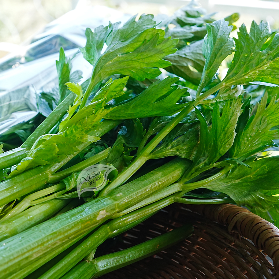 Rau Sạch Đà Lạt – Đặc Sản Vùng Cao Tươi Ngon, Giao Tận Nhà HCM