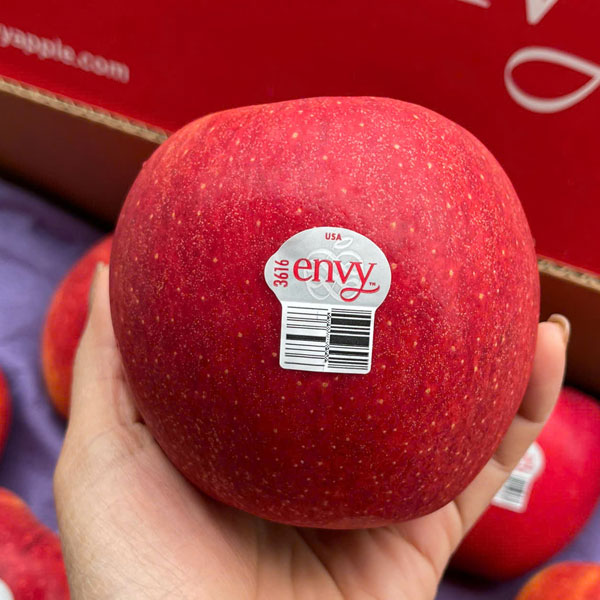 Giá Táo Mỹ Envy Hôm Nay 12/7/2026 – Bảng Giá Mới Nhất & Mẹo Mua Chất Lượng