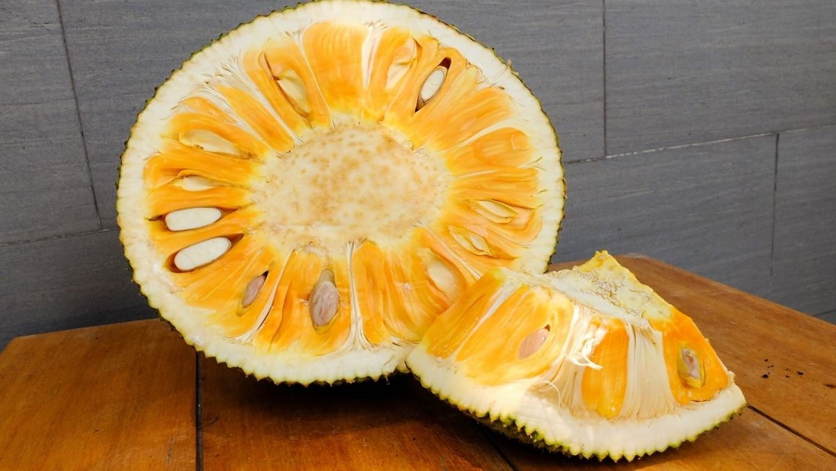 Bảo Quản Mít Đúng Cách: Công Nghệ & Mẹo Giữ Mít Tươi Ngon Lâu Nhất