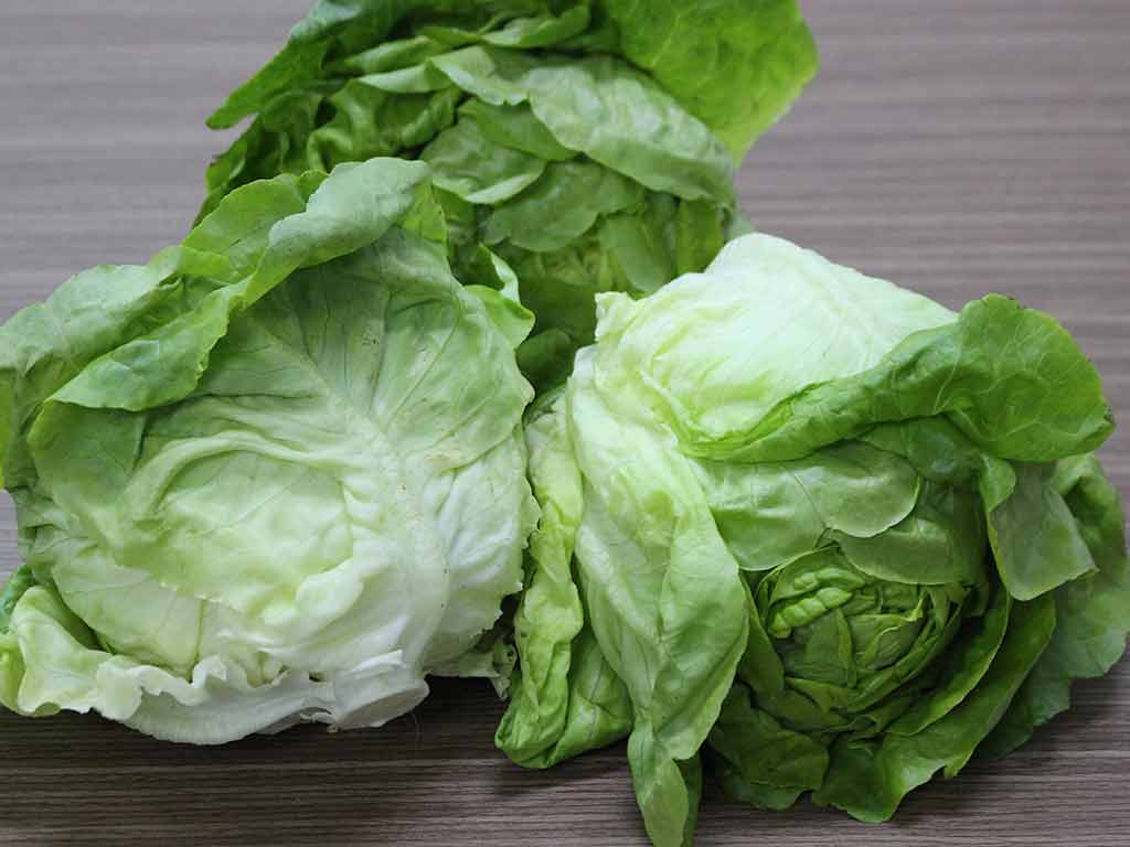 Xà Lách Đà Lạt — Đặc Sản Rau Sạch Cao Nguyên, Giá Tốt Giao Tận Nhà HCM