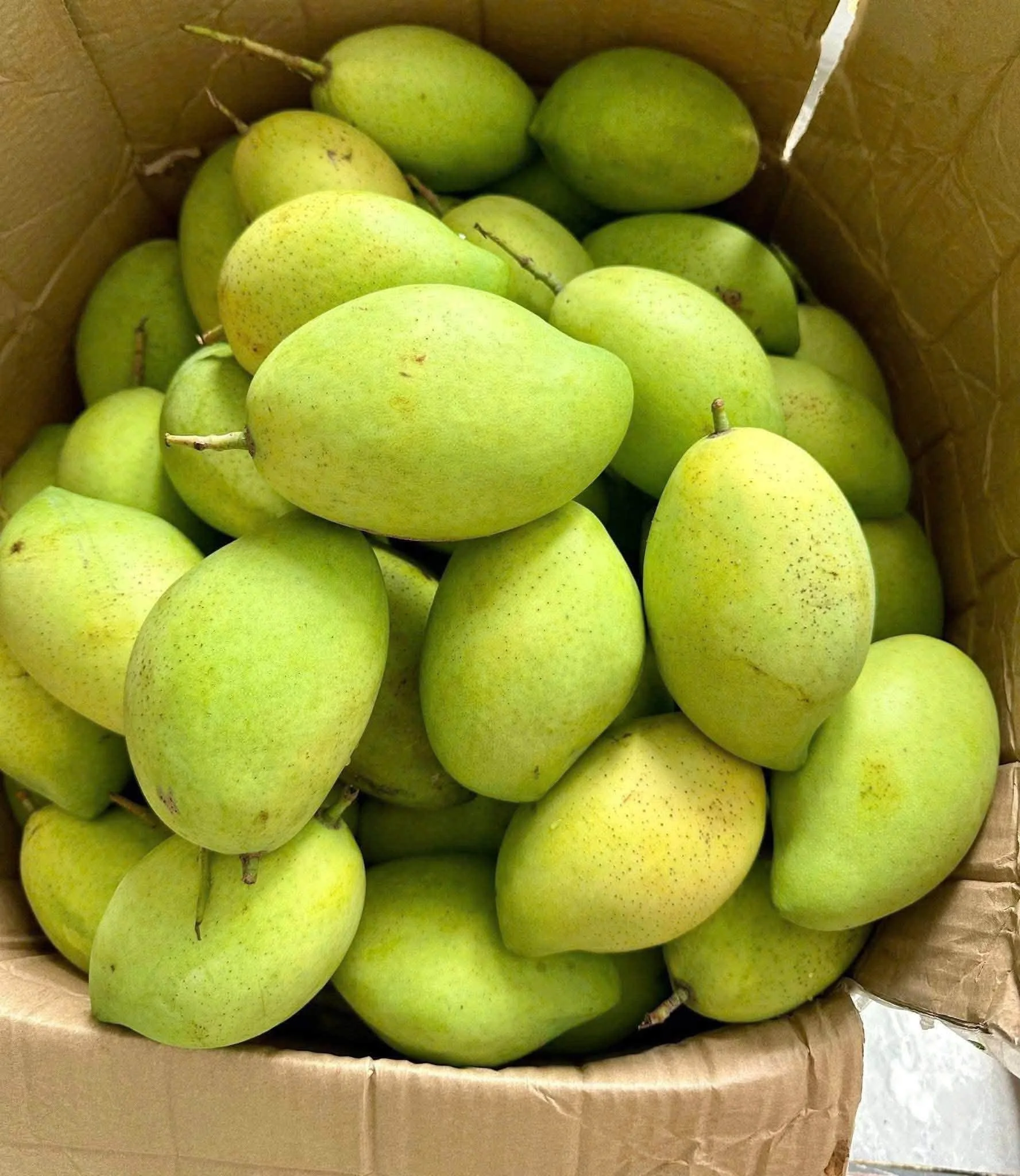 Sinh Tố Xoài Keo Thơm Ngon – Công Thức Đơn Giản Tại Nhà | Foody24h