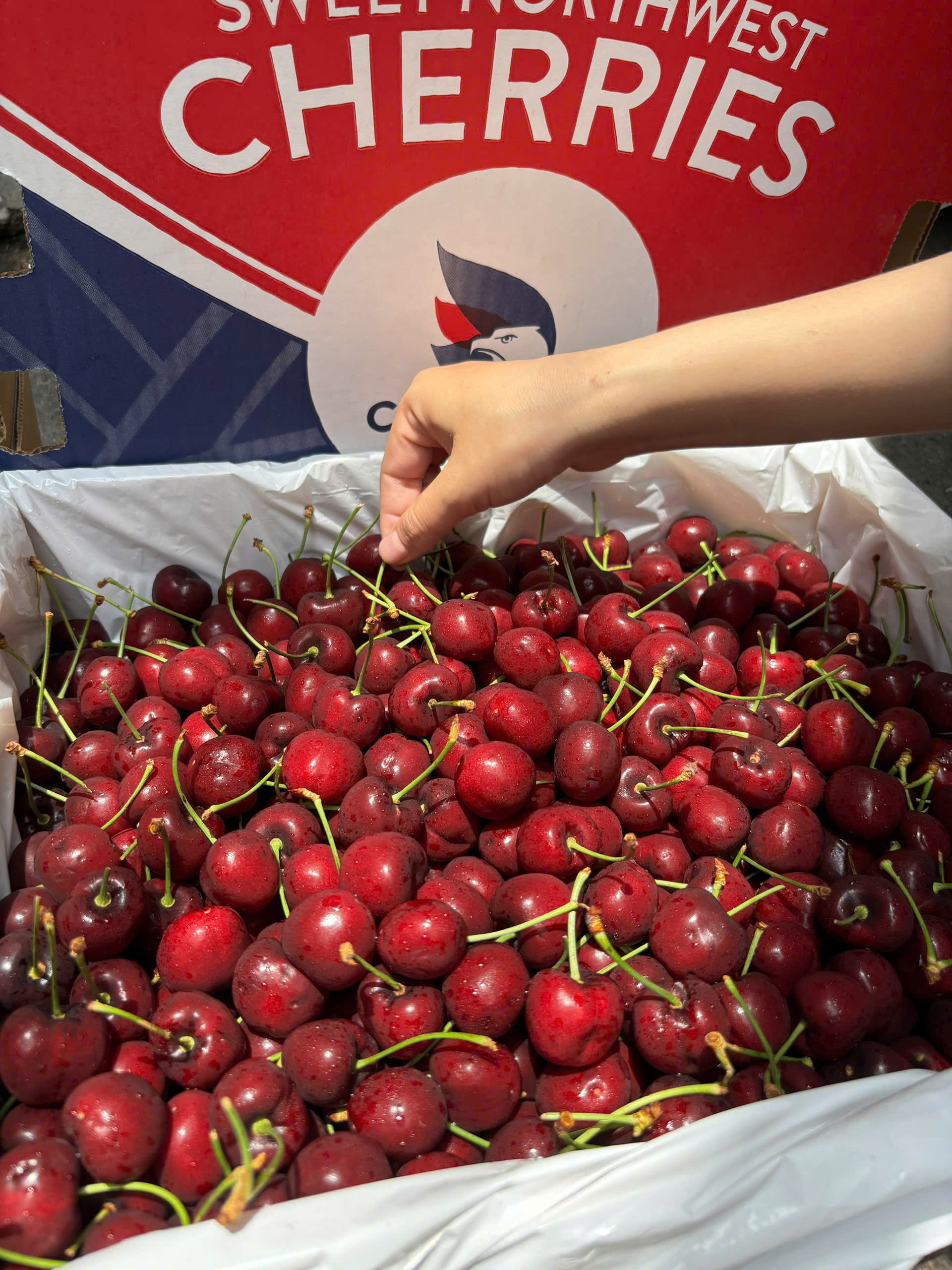 giá cherry