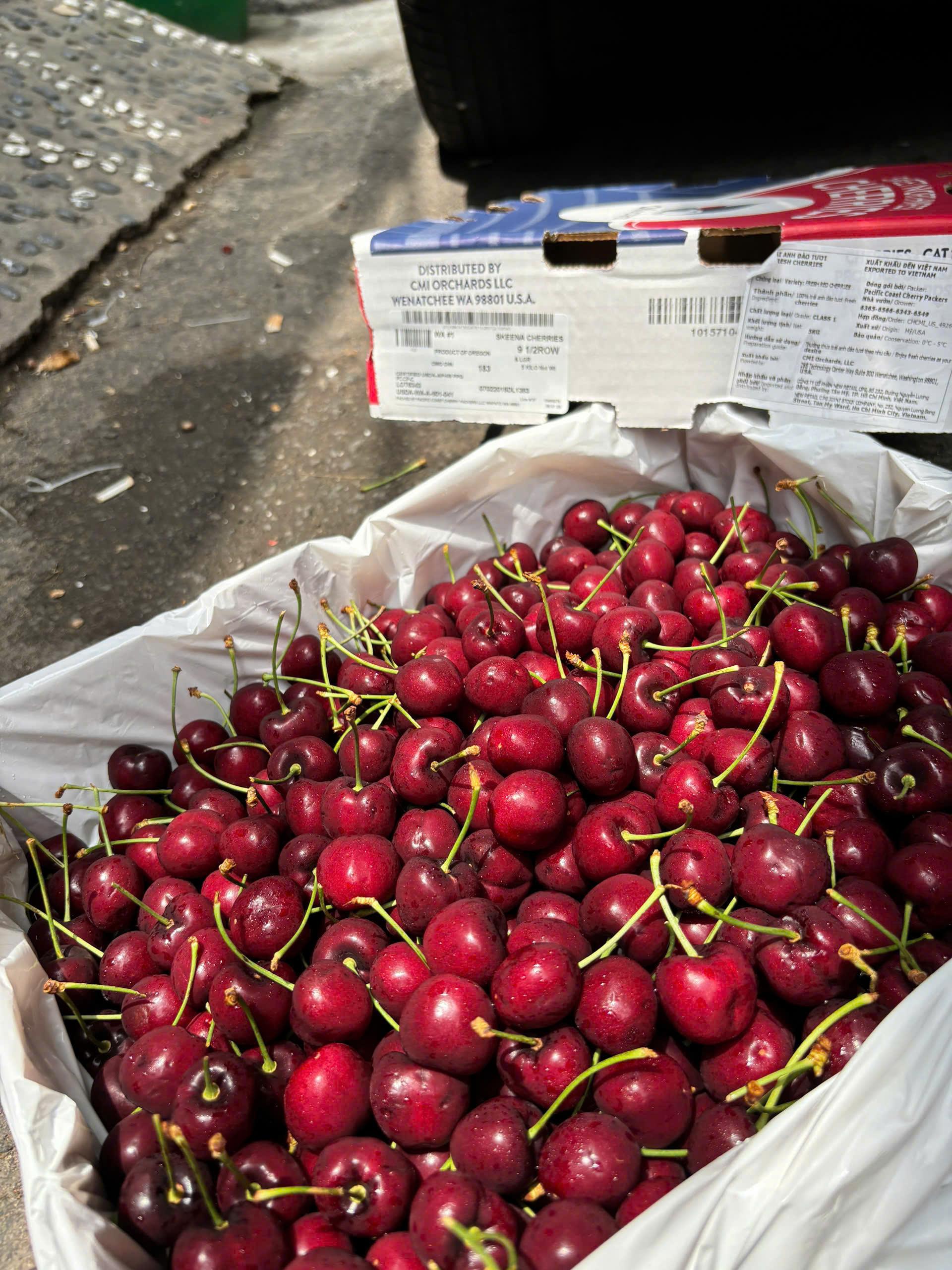 giá cherry