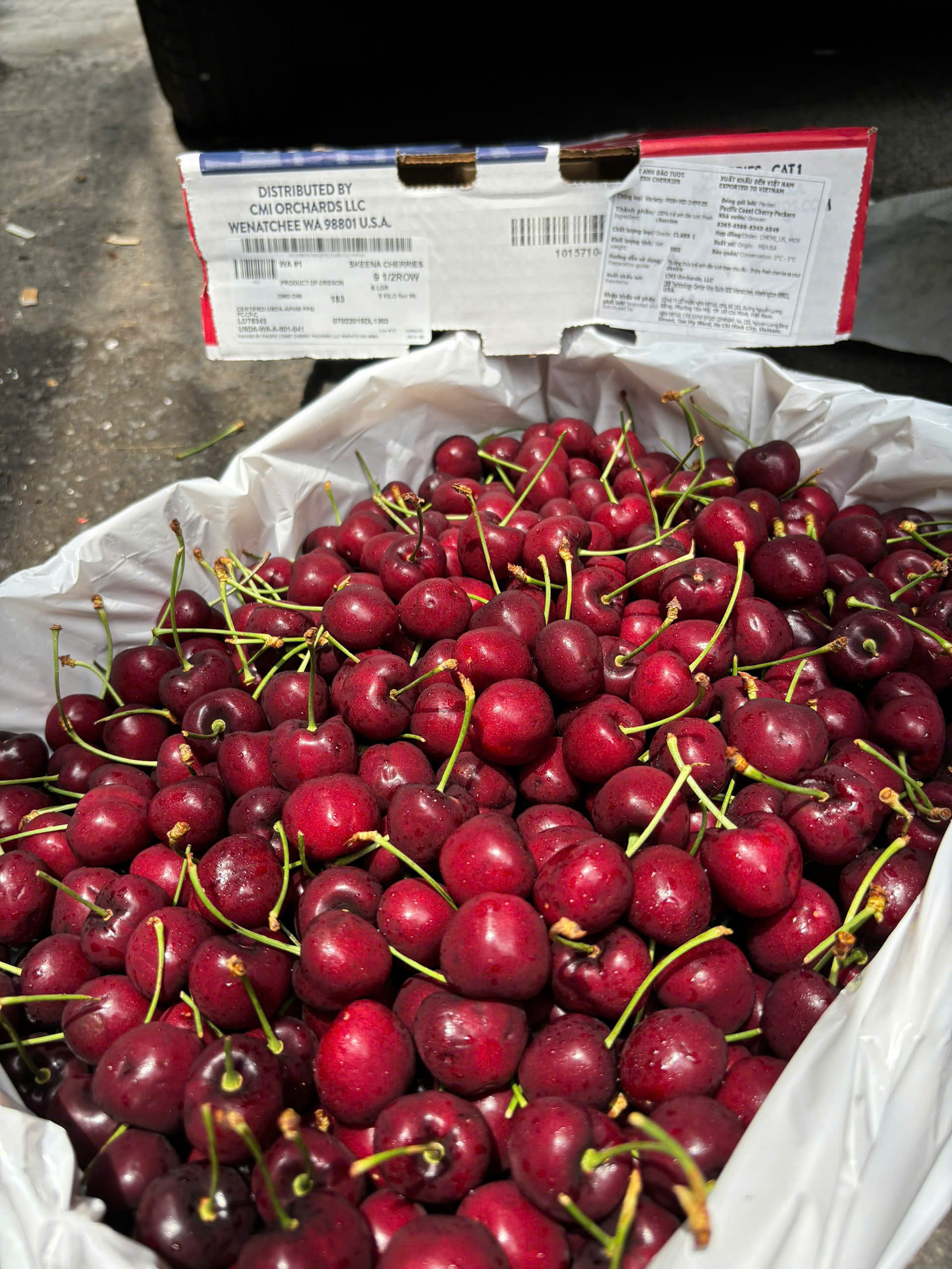 giá cherry