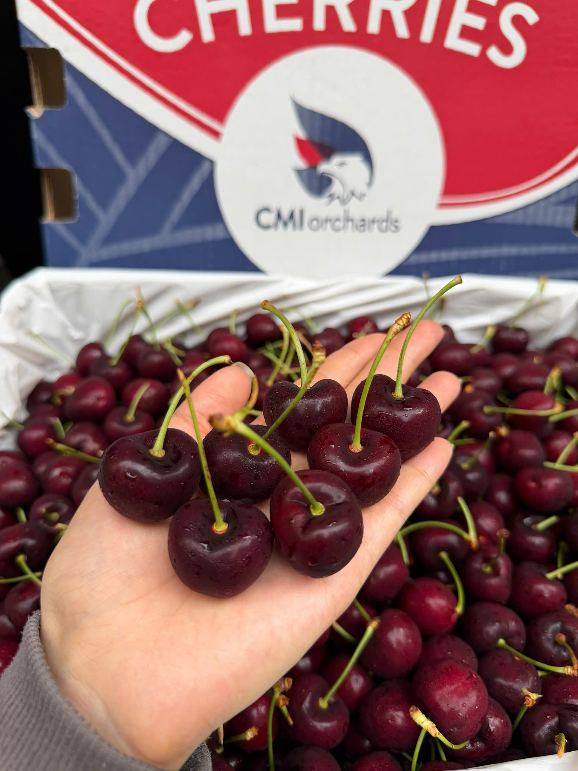 giá cherry