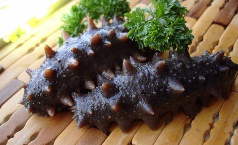 hải sâm