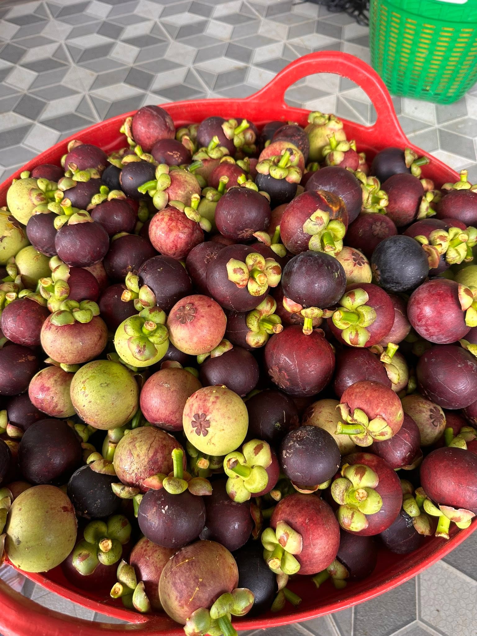 măng cụt