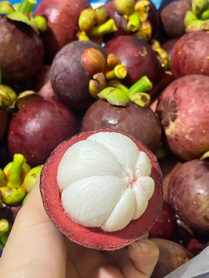 măng cụt