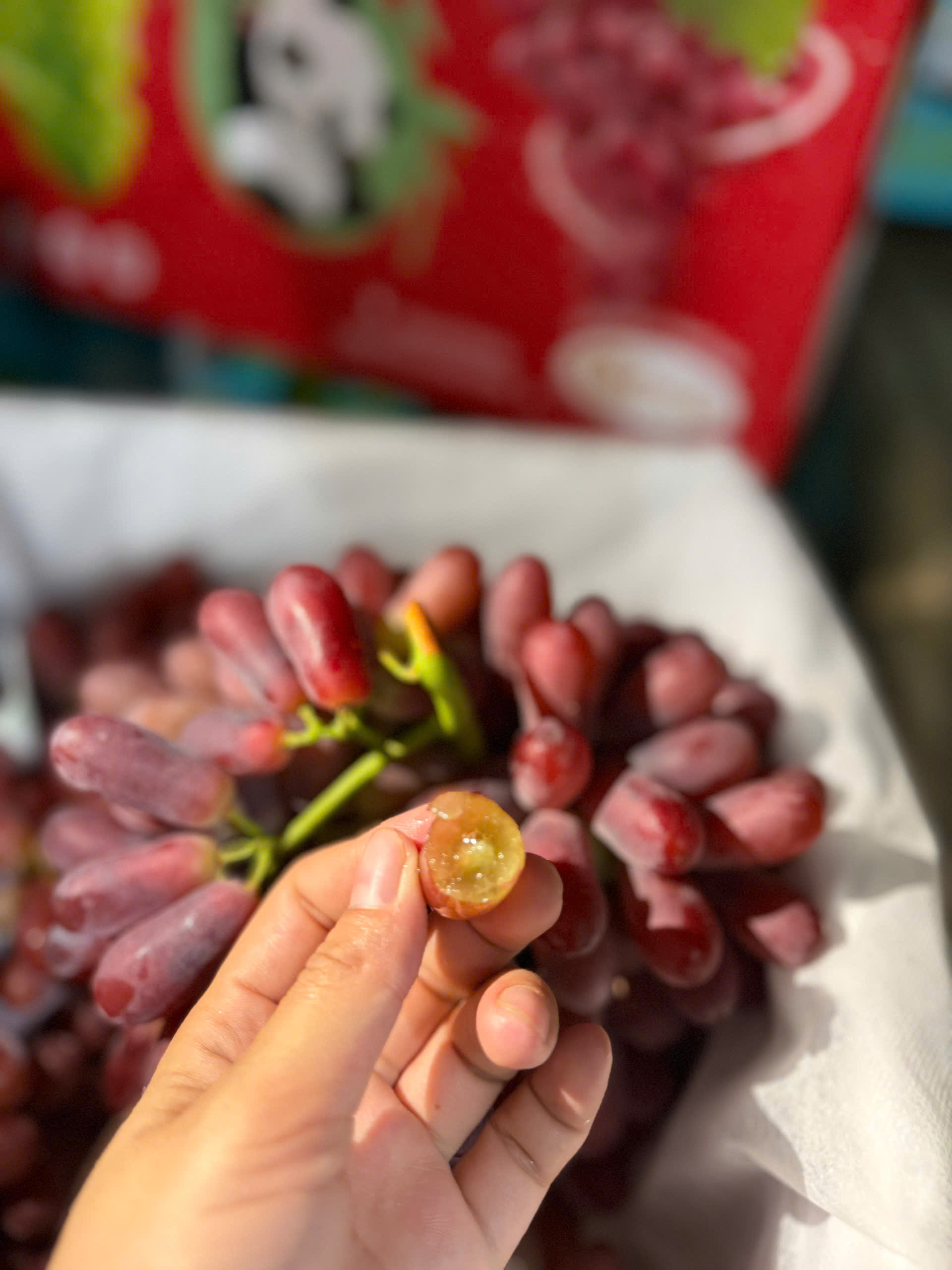 nho đỏ