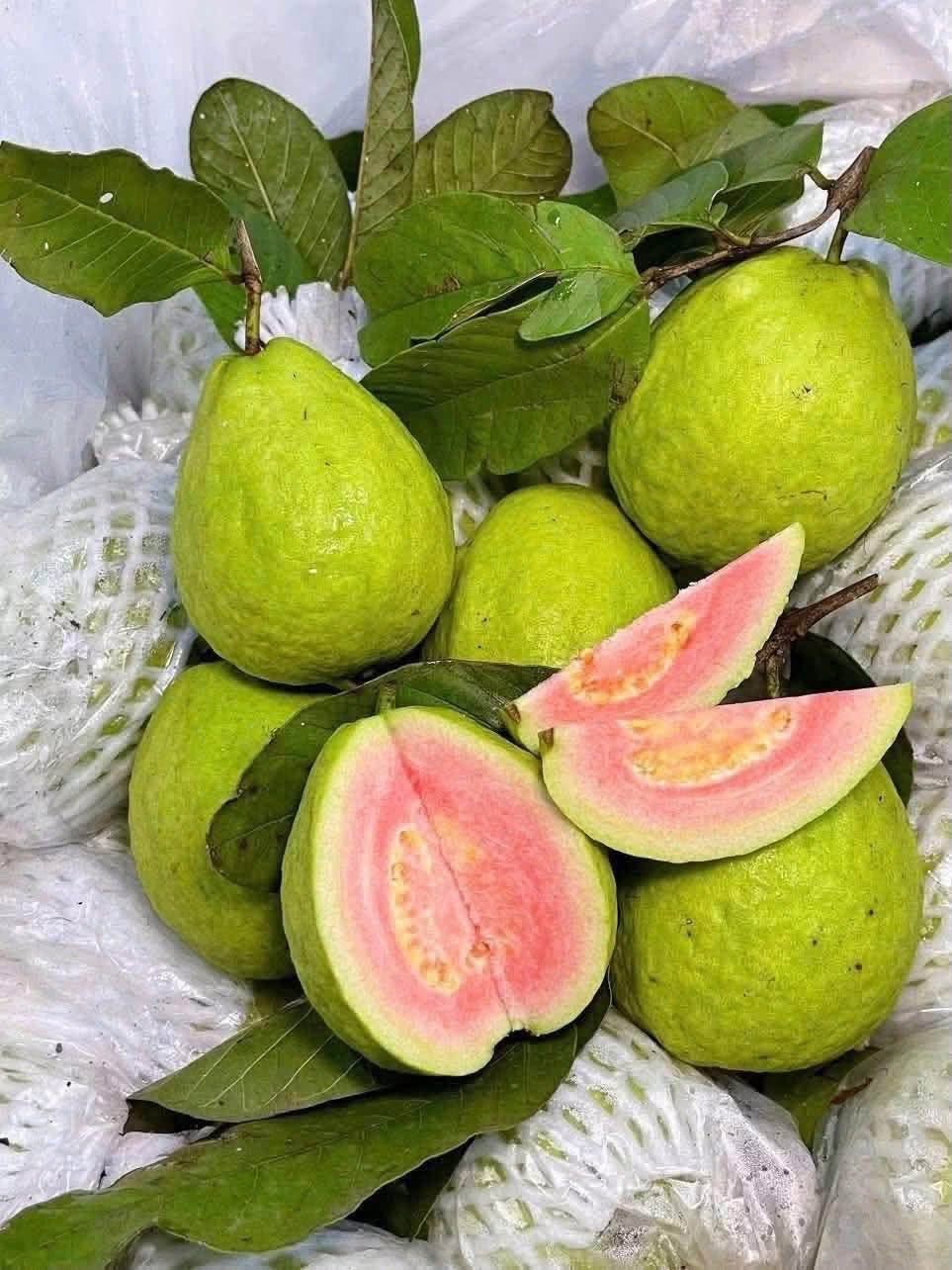 ổi nữ hoàng