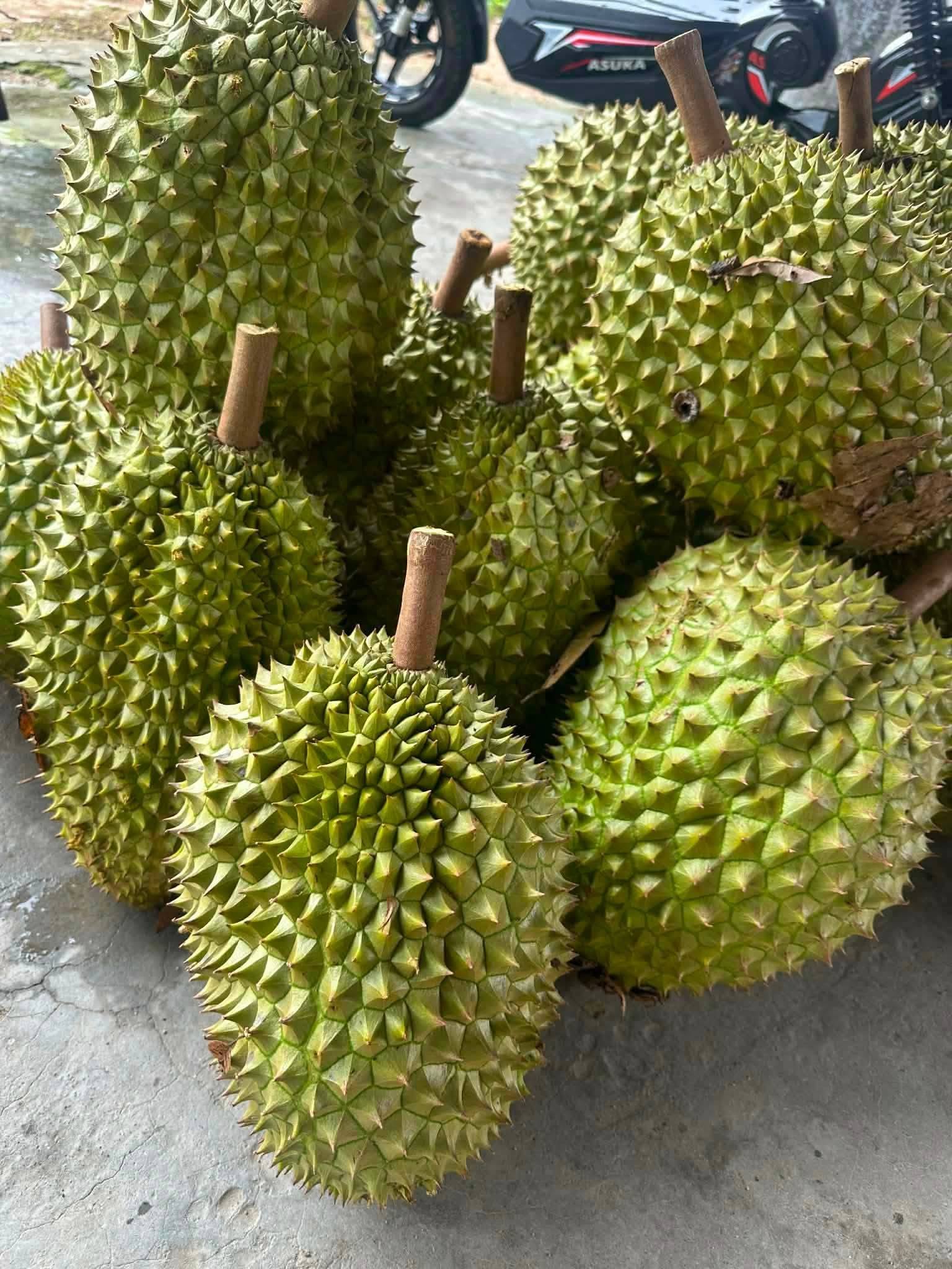 giá sầu riêng