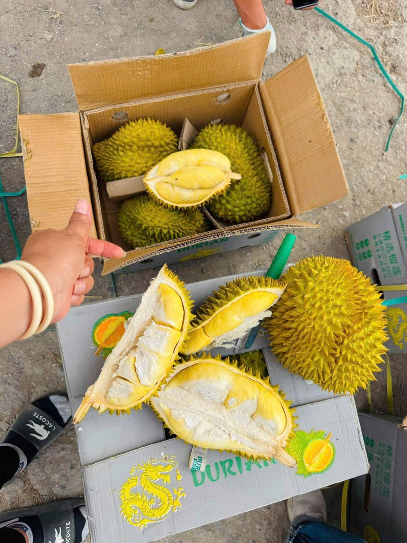 giá sầu riêng