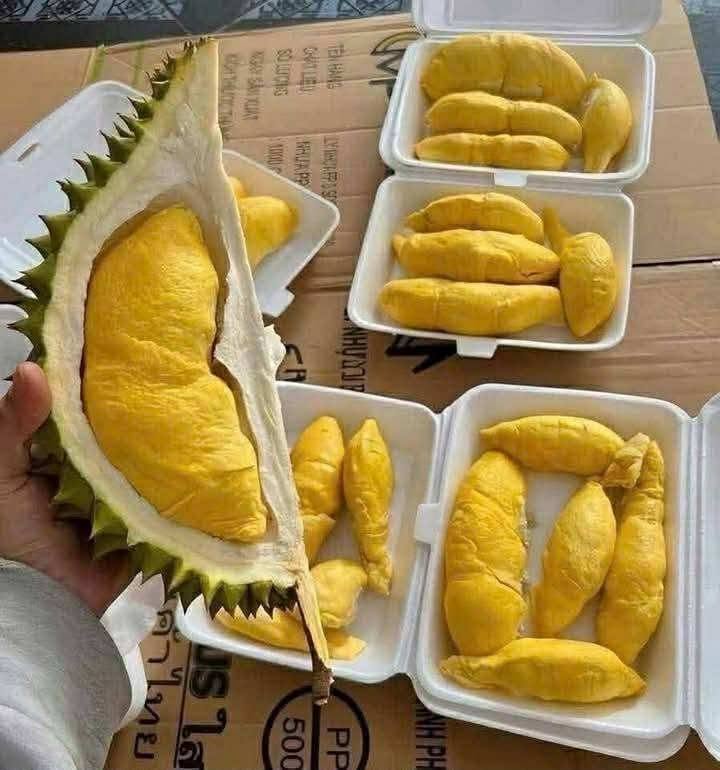 sau tieng