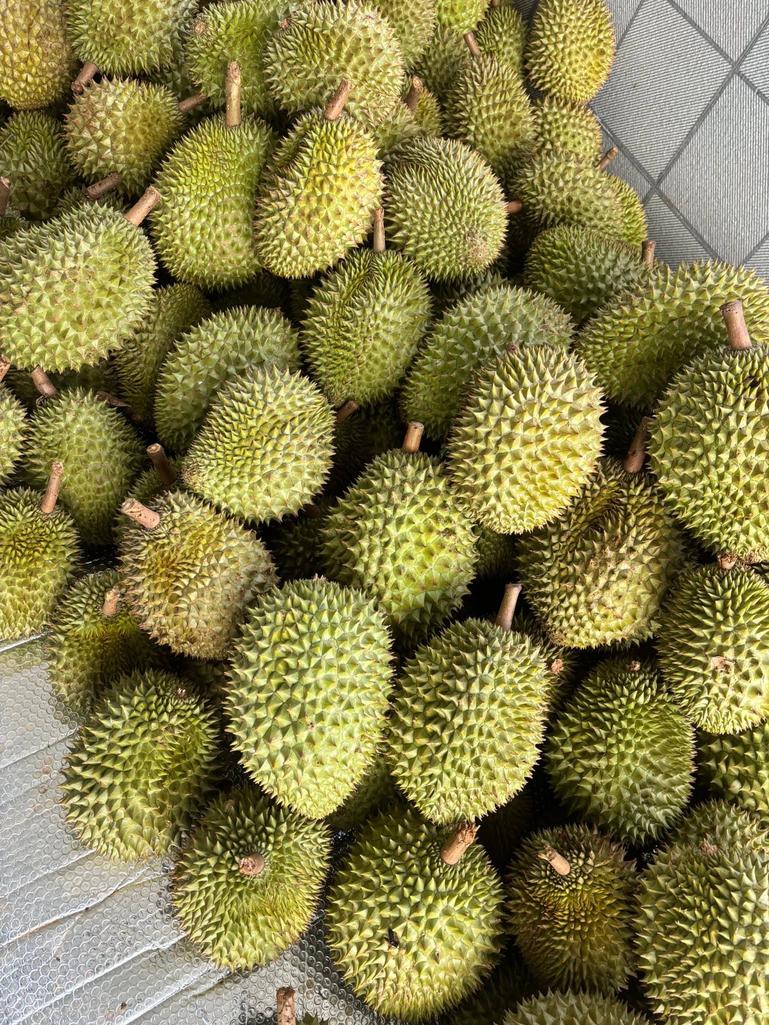 sầu riêng