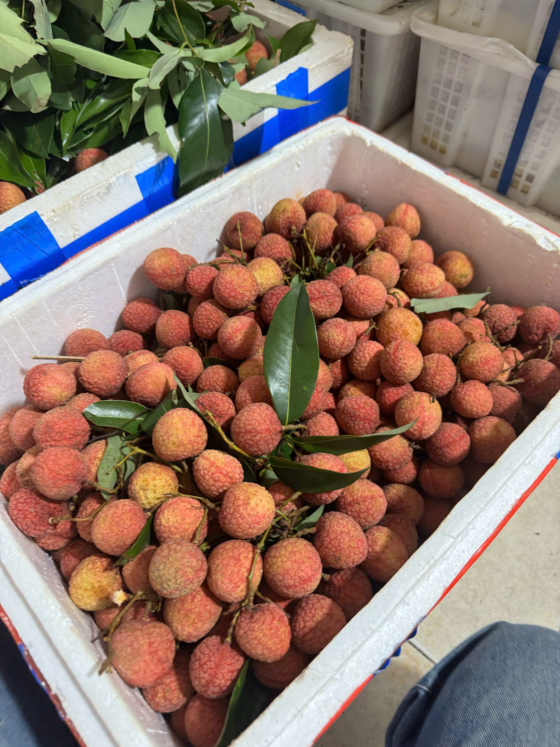 vai-thieu-2